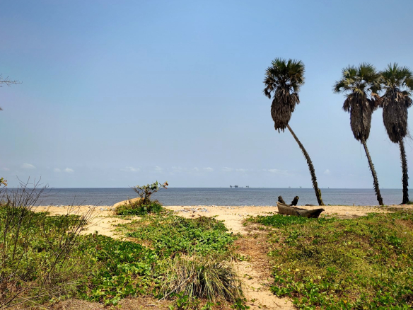Palm Beach 4, Muanda – terrain face à l’océan
